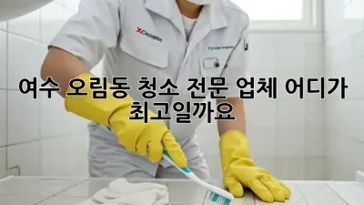 여수 오림동 청소 전문 업체, 어디가 최고일까요?