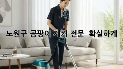노원구 곰팡이 제거 전문 💯 확실하게!